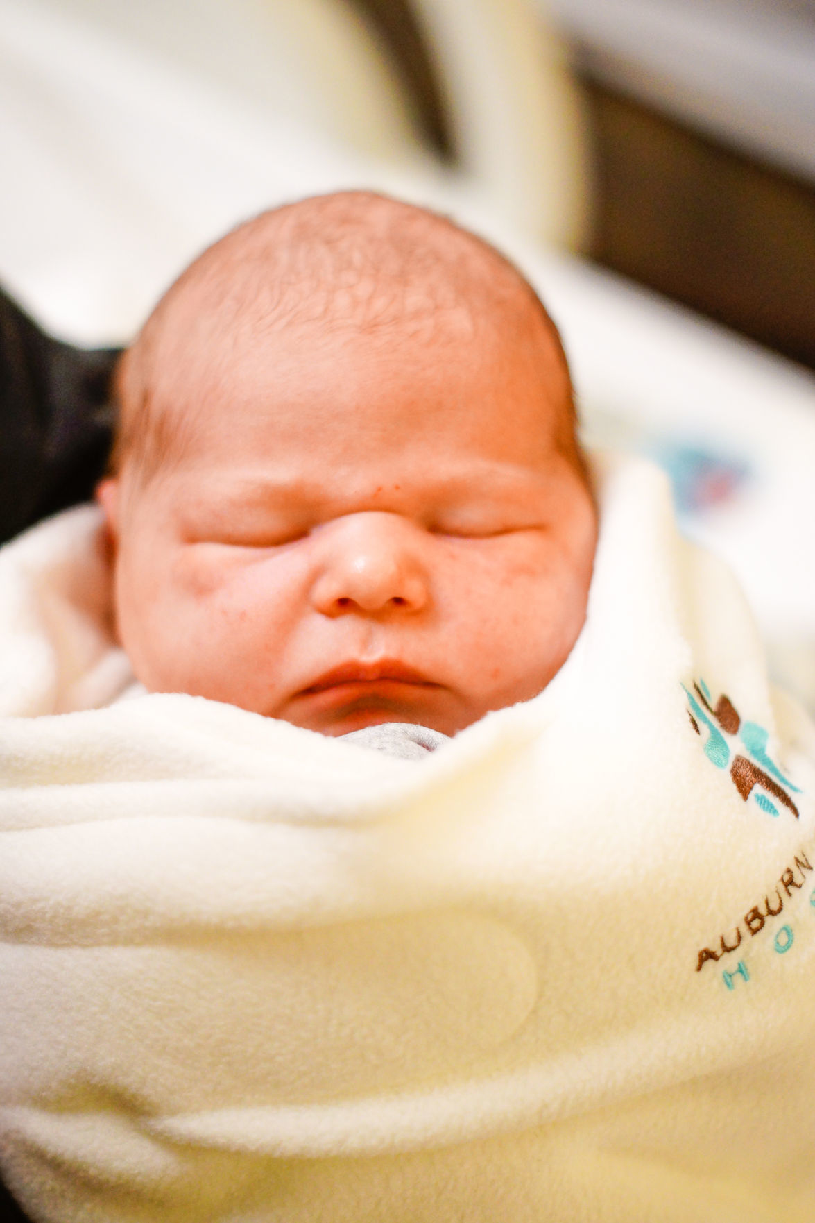 New Year's Baby 2019